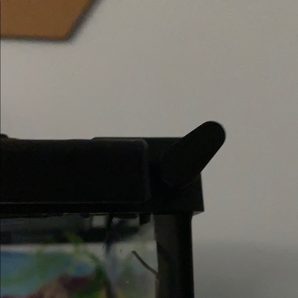 Reptile (leopard Gecko) Tank - Picture 2 of 6